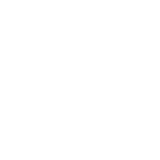 INDUSTRIA GENERAL